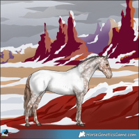 Horse Color:Red Roan Appaloosa