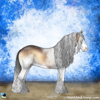 Horse Color:White Spotted Brown Onyx Sabino Splash 