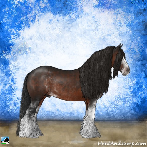 Horse Color:Gray Brown Sabino Rabicano 