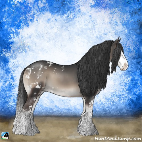 Horse Color:Blue Onyx Sabino Splash