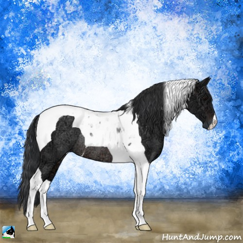 Horse Color:Brown Ice Tobiano Rabicano 