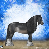 Horse Color:Black Sabino Tobiano Rabicano