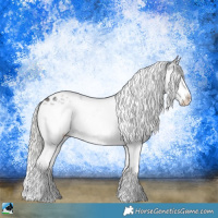 Horse Color:Silver Bay Ice Splash Tobiano Rabicano 
