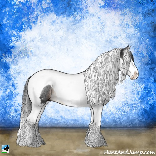 Horse Color:Brown Splash Tobiano Rabicano 