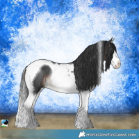 Horse Color:Brown Splash Tobiano Rabicano