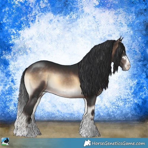 Horse Color:Brown Onyx 