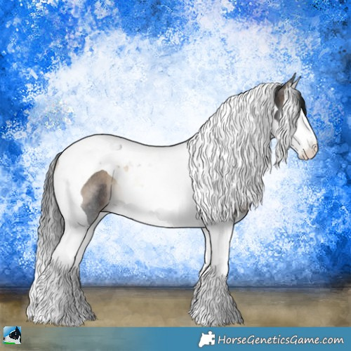 Horse Color:Brown Onyx Splash Tobiano Rabicano 