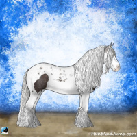 Horse Color:Silver Brown Splash Tobiano Rabicano 