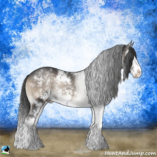 Horse Color:Blue Onyx Sabino Splash Rabicano 