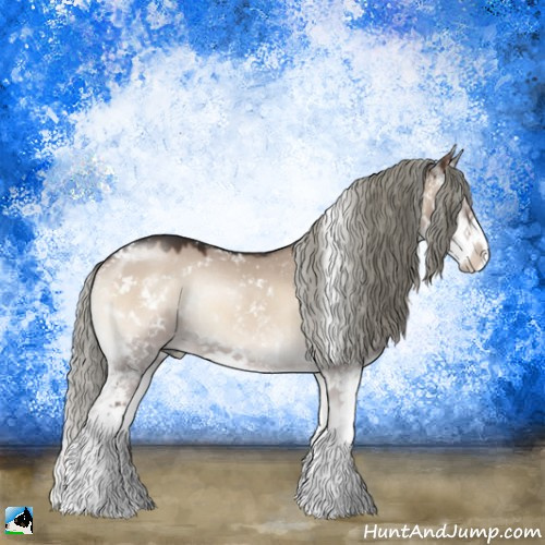 Horse Color:Liver Red Dun Onyx Mushroom Sabino Rabicano 