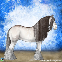 Horse Color:Classic Champagne Onyx Mushroom Sabino Splash Rabicano 