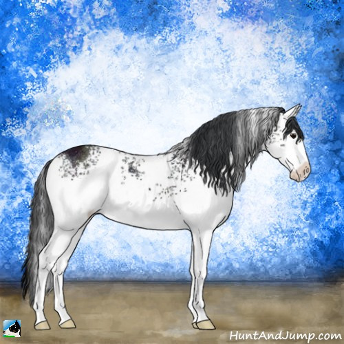Horse Color:White Spotted Midnight Black Ice Rabicano 