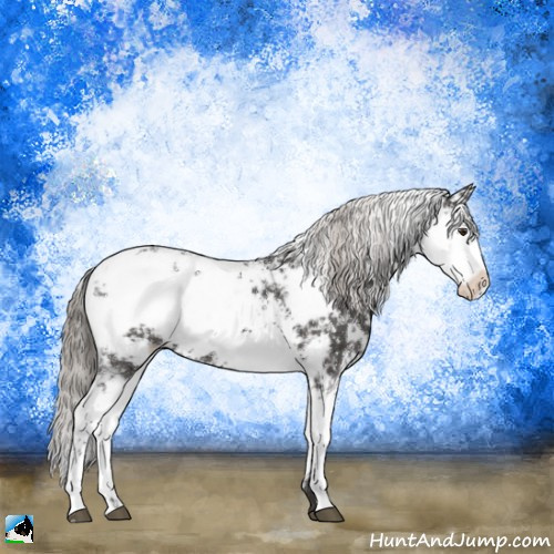 Horse Color:Liver Chestnut Sabino 