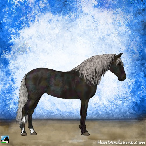 Horse Color:Midnight Silver Grullo Ice 