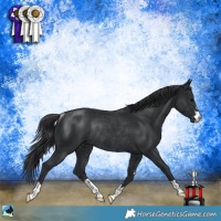 Horse Color:Black Mushroom Rabicano