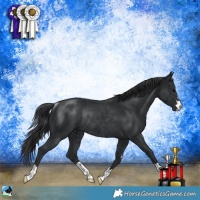 Horse Color:Black Mushroom Rabicano 