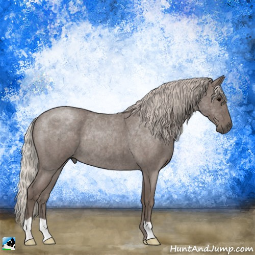Horse Color:Silver Blue Roan Rabicano 