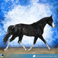 Horse Color:White Spotted Midnight Black Mushroom Rabicano 