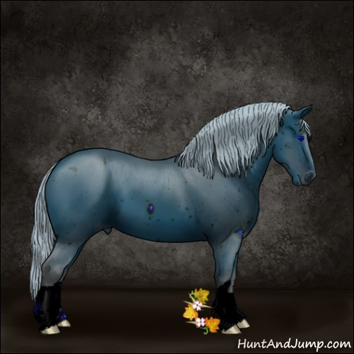 Horse Color:ERROR: UNKNOWN ANOMALY