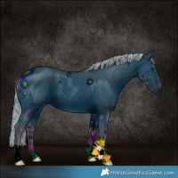 Horse Color:ERROR: UNKNOWN ANOMALY