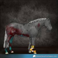 Horse Color:ERROR: UNKNOWN ANOMALY