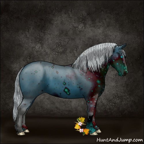 Horse Color:ERROR: UNKNOWN ANOMALY