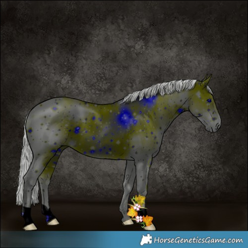 Horse Color:ERROR: UNKNOWN ANOMALY