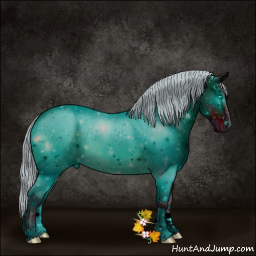 Horse Color:ERROR: UNKNOWN ANOMALY