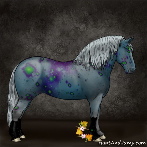 Horse Color:ERROR: UNKNOWN ANOMALY