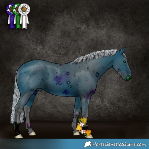 Horse Color:ERROR: UNKNOWN ANOMALY