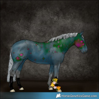 Horse Color:ERROR: UNKNOWN ANOMALY