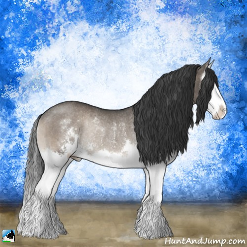 Horse Color:Grullo Onyx Sabino Splash Rabicano Brindle 