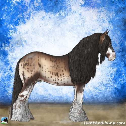 Horse Color:Liver Red Onyx Sabino 