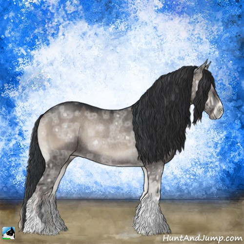 Horse Color:Grullo Ice Onyx Rabicano 
