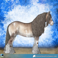 Horse Color:Liver Red Dun Onyx Mushroom Sabino Rabicano Brindle 