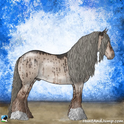 Horse Color:Liver Red Dun Mushroom Rabicano Brindle 