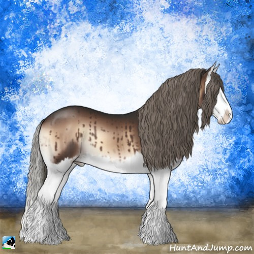 Horse Color:Liver Red Onyx Mushroom Sabino Splash 