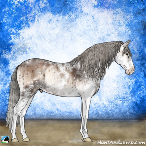 Horse Color:Liver Red Onyx Ice Mushroom Sabino 