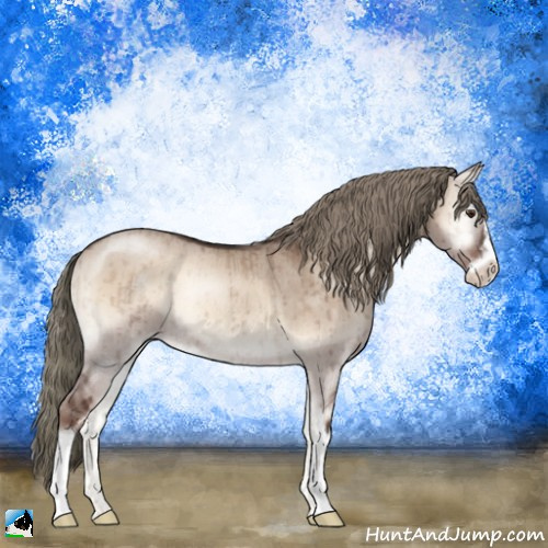 Horse Color:Liver Red Dun Onyx Mushroom Sabino Rabicano Brindle 