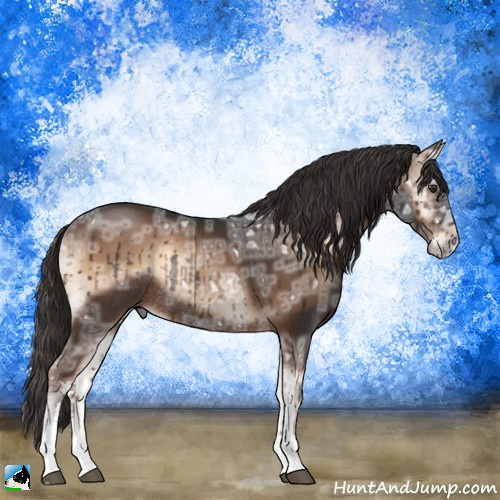 Horse Color:Liver Red Onyx Ice Sabino Rabicano 
