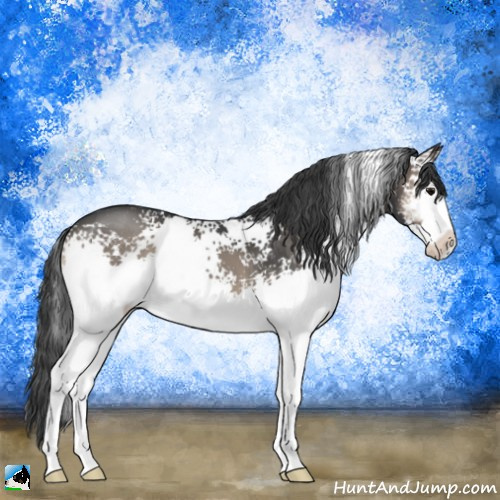 Horse Color:White Spotted Blue Onyx Mushroom 