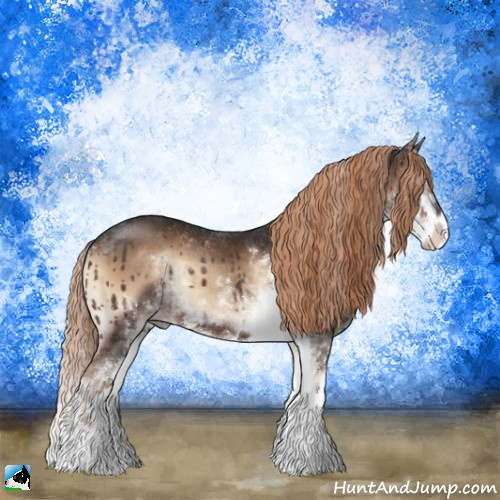 Horse Color:Liver Red Onyx Sabino 