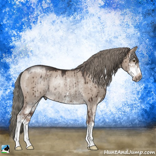 Horse Color:Liver Red Dun Mushroom Sabino Rabicano Brindle 