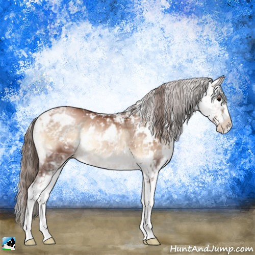 Horse Color:Brown Ice Pearl Onyx Mushroom Sabino 