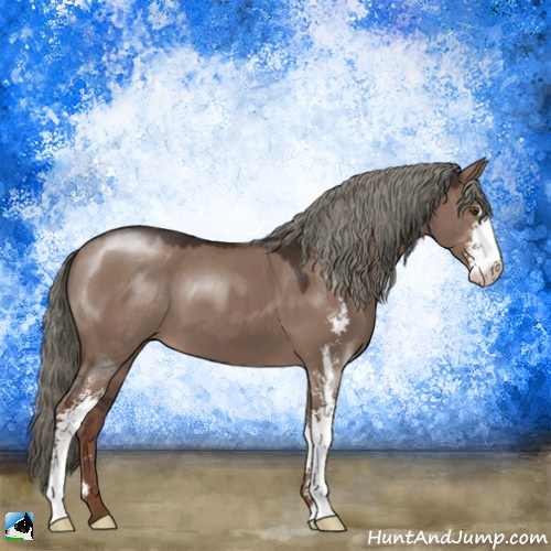 Horse Color:Liver Red Dun Mushroom Sabino 