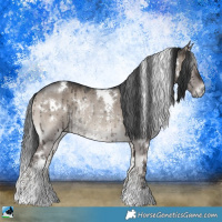 Horse Color:White Spotted Grullo Onyx Rabicano Brindle 