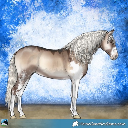 Horse Color:Liver Red Dun Onyx Mushroom Sabino