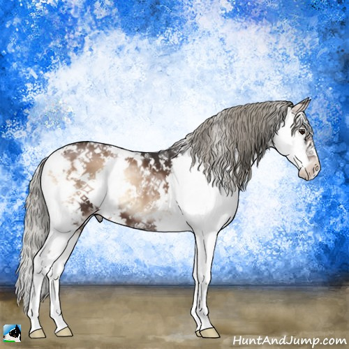 Horse Color:Liver Red Onyx Ice Mushroom Sabino 