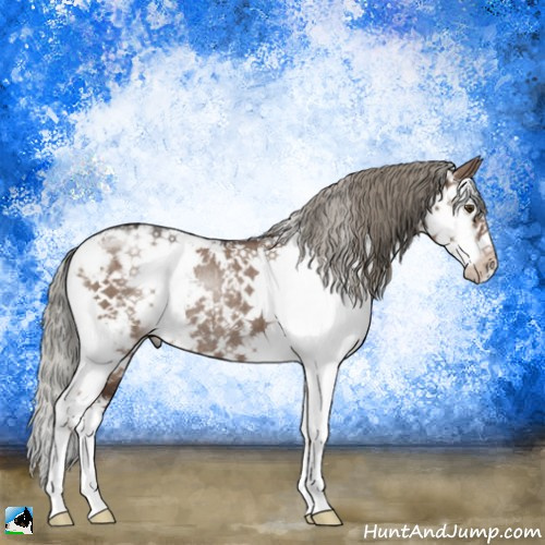 Horse Color:Liver Red Dun Mushroom Sabino Rabicano 