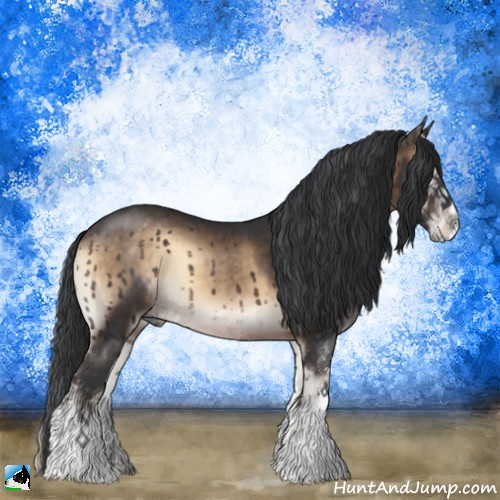 Horse Color:Brown Onyx Sabino Rabicano 